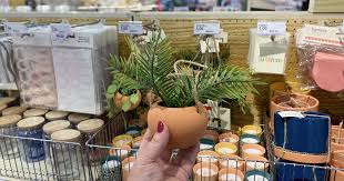 Miniature Hanging Plants Only 5 In Bullseye S Playground At Target