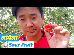 अमिलो फल