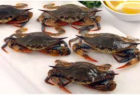 Wild Softshell Crabs Citarella