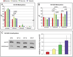 Bar Charts Of Repressive Lysine Methylation States On