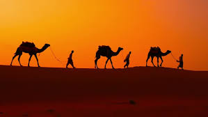Choose from 60+ desert camel graphic resources and download in the form of arab desert camel aladdins lamp. Desert Safari Illustration Free Stock Photo By Mohamed Hassan On Stockvault Net