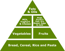 free balanced diet chart download free clip art free clip