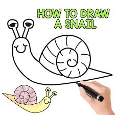 The baby that you will be drawing is very basic, and very easy to draw. How To Draw A Snail Cute Easy Step By Step Tutorial Easy Peasy And Fun