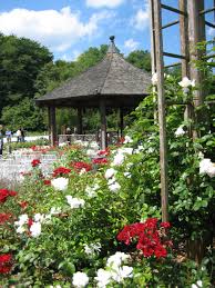 So wird ein besseres mikroklima im stadtteil angeregt. Datei Augsburg Bot Garten Am Rosenpavillon Jpg Wikipedia