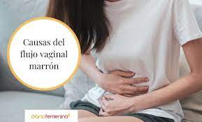 Flujo Marron Descubre Por Que Tienes Este Tipo De Regla