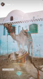 An example would be if a someone who has 'a lot' of baggage is someone who has collected every single negative experience they've had over the years and never really dealt with it. Do You Travel Jack Morris Guides Us Round Egypt Through His Incredible Lense Scoop Empire