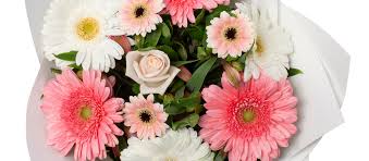 These flowers can be used to ascend the hydro character xingqiu. Andreas Florist