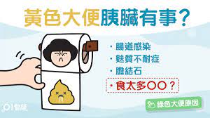 二、症狀： 胰臟位在後腹膜腔，它發生病變時多半沒有症狀。 因此，早期的胰臟癌是沒有什麼症狀的。 如果癌症漸漸擴大，就會陸續出現上腹痛、背痛、黃疸、體重減輕，及下痢症狀。 胰臟癌的症狀，依據癌形成在胰臟的部位而有所不同。 在胰臟「頭部」形成的胰臟癌. å¤§ä¾¿é¡è‰² è‚ç¡¬åŒ–è†½çµçŸ³8å€‹åŽŸå› å¤§ä¾¿é»ƒè‰²å…ˆæˆ'ç•ªè–¯è›‹ç³•å³é£Ÿéºµ é¦™æ¸¯01 å¥åº·