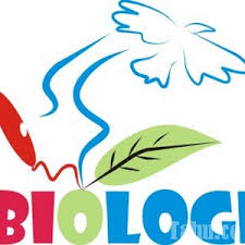 Check spelling or type a new query. Penelitian Biologi Sederhana Untuk Anak Usia 7 12 Tahun Qecak Blog