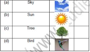 We did not find results for: Cbse Class 3 English Good Morning Worksheet Set A