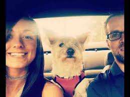 Fundraiser for Amanda Gemas by Rachel urosek : Amanda's House Fire Fund