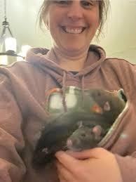 Rats as emotional support animals