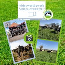 It pursues the objective of reclassifying and promoting the numerous functions of grassland to reflect its diversity and significance. Pro Weideland Videowettbewerb Weideaustrieb 2021 Milchland