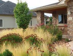 Check spelling or type a new query. Colorado Landscaping Pictures Gallery Landscaping Network