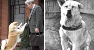 Sat waiting at shibuya station, there is a lot more to its history than you might think. Die Wahre Geschichte Von Hachiko Dem Hund Der Mit Seiner Liebe Und Hingabe Die Welt Bewegt Hat Curioctopus De