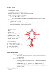 Learn and reinforce your understanding of circle of willis through video. Circle Of Willis Medicine Med Mb S Qub Studocu