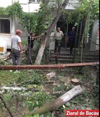 Lift your spirits with funny jokes, trending memes, entertaining gifs, inspiring stories, viral videos, and so much more. BÄƒcÄƒuan Prins In Timp Ce TÄƒia Ilegal Copacii Din Curtea Blocului Ziarul De BacÄƒu