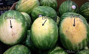 Subito a casa e in tutta sicurezza con ebay! She Noticed A Strange Spot On Her Watermelon And What It Really Meant Left Her In Disbelief Anguria Fette Di Anguria Anguria Tagliata