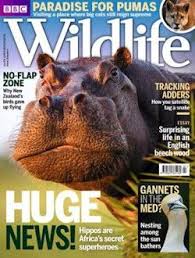 Bbc Wildlife Magazine Bbc Wildlife Animals And Pets