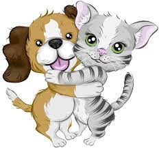 5 miles 10 miles 25 miles 50 miles 100 miles 200 miles 500 miles. Pets For Adoption At Warm Fuzzies Animal Rescue Inc In Duluth Mn Petfinder