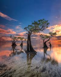 Pin Di Wisata Ntt