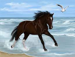 Check spelling or type a new query. Running Horse On Beach Horses Running Horses Running On The Beach