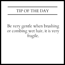 Tip of the day images. Tip Of The Day Averil Hull