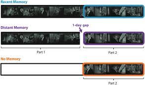 This work may well be the oldest full length story of her life that. Learning To Use Episodic Memory For Event Prediction Biorxiv
