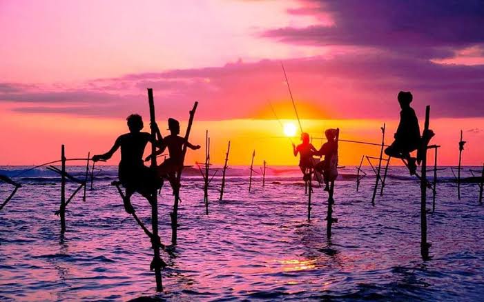 Stilt fishermen Ahangama Koggala traditional poles seabed fishing dawn golden hour west Mirissa