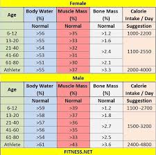 Pin On Fitness