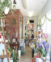 Flowers soft pink to bright red in 20 cm upright clusters (spectacular in may). Florists