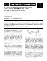 Image result for Vepris gerrardii