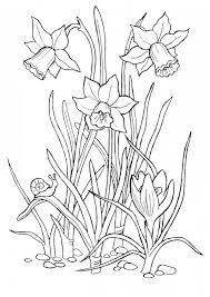 Peisaj primavara flori planse colorat gif 516 640 precious moments coloring pages bunny coloring pages easter coloring pages. Desene Cu Flori De Primavara De Colorat Imagini È™i PlanÈ™e De Colorat Cu Flori De Primavara