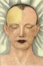 Chapter 23 History of neuroendocrinology: “the spring of primitive  existence”