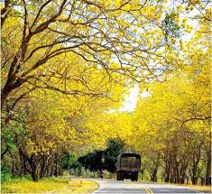 Viaja Con Easyfly A Barranquilla Destinofavorito De Colombia Mas En Http Www Easyfly Com Co Vuelos Tiquetes Vuel Colombia Venezuela Paisajes Barranquilla