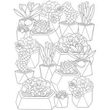 Home / free coloring pages / plants & animals; Amazon Com Creative Haven Stunning Succulents Coloring Book Relax Find Your True Colors Creative Haven Coloring Books 9780486832494 Mazurkiewicz Jessica Books