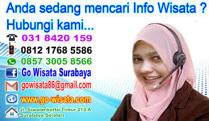Untuk membangun jalan ini memang usahanya luar biasa karena harus membelah gunung, membabati sebagian hutan dan membikin jalannya. Go Wisata Surabaya 031 8420 159 Tpq Miftahul Jannah Surabaya Outbound De Alas Prambon Sidoarjo