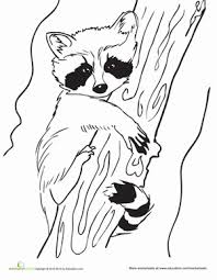 Raccoon drum beater coloring pages download free kids raccoons. Pin On Arabic Alphabets Crafts Coloring Pages