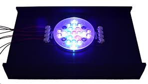 All leds par38 bulbs cob and pucks Tag Diy Led Reef Builders The Reef And Saltwater Aquarium Blog