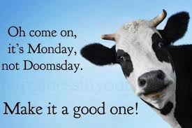 Okay, maybe a few of them. Happy Monday Y All Here Are The Best Memes To Start Off The Week With Monday Humor Quotes Happy Monday Quotes Monday Motivation Quotes