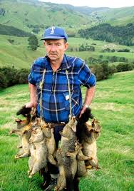 Are possums aggressive towards humans? What S The Best Least Obvious Way To Kill A Possum Residing Between Two Fences Bluewhiteillustrated Com