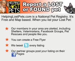 Check spelling or type a new query. Lost Dogs Massachusetts Home Facebook
