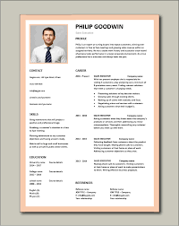 Sales Executive Cv Template Example Marketing Executive Revenue Incentive Services Cv