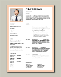 Bullet points and short sentences and appropriately used. Sales Executive Cv Template Example Marketing Executive Revenue Incentive Services Cv