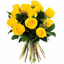 Image result for yellow roses images