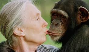Jane Goodall (1934-) is an English zoologist,primatologist and  anthropologist.She is considered the world's foremost expert