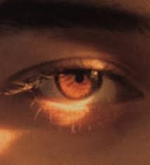 Brown Eyes In The Sun Are Like Pools Of Honey Brown Aesthetic Orange Aesthetic Aesthetic Boy