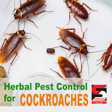 Yp canada provides business information listings related to pest control services across canada. Herbal Pest Control Services In Mumbai Sadguru Facility