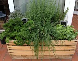 Pin Von Christine Auf Garten Und Balkon Garten Garten Deko Gartenkunst