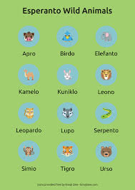 Esperanto El Idioma Que Fracaso Ciencia Y Educacion En Animals Wild Esperanto Language Learning Languages